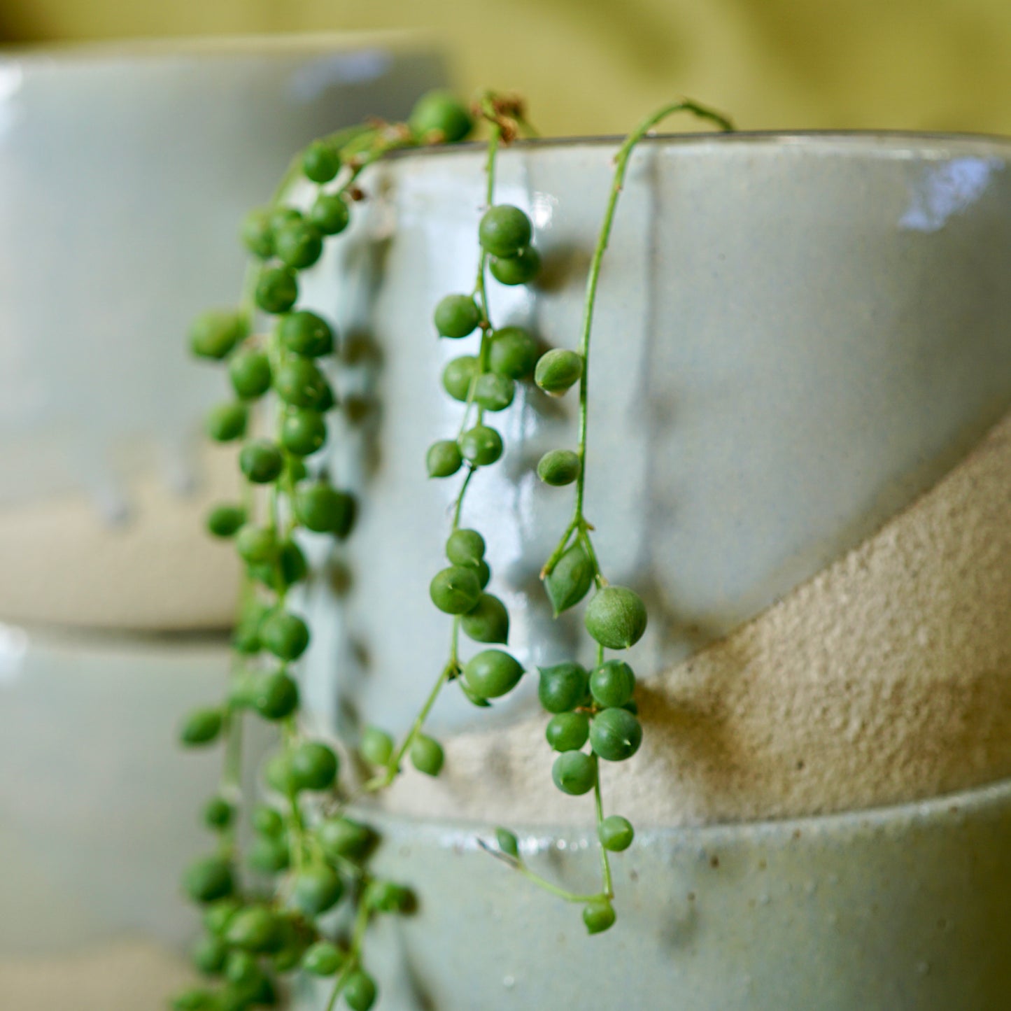 Seafoam ~ S Planters