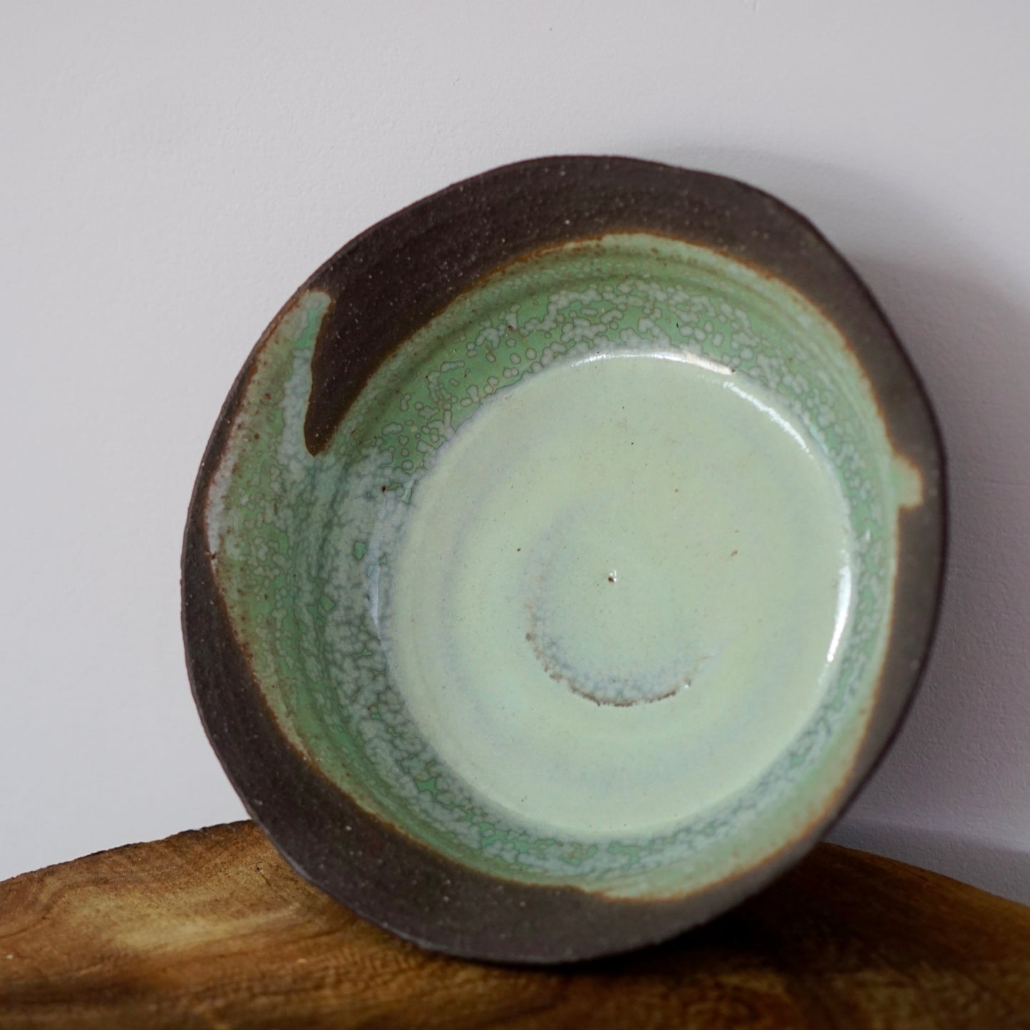 Dark Matter Sage ~ Dish